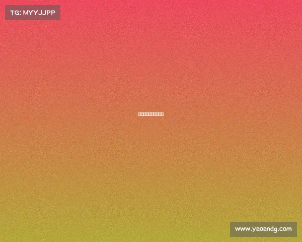 武术赛事活动办赛指南